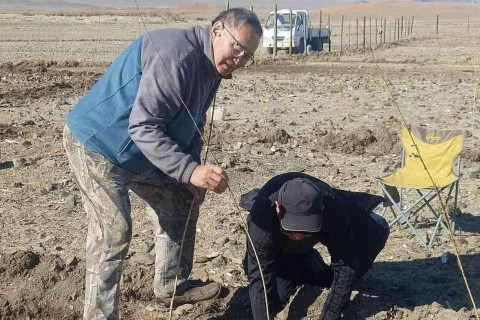 ЗГХА ОЙН ГАЗРААС АДАПТ ТӨСЛИЙН ХҮРЭЭНД ХОВД АЙМАГТ ХЭРЭГЖИЖ БУЙ ТАТМЫН ОЙЖУУЛАЛТАД ХЯНАЛТ,  МОНИТОРИНГ ХИЙЖ, АРГА ЗҮЙН ЗӨВЛӨГӨӨ ӨГӨВ