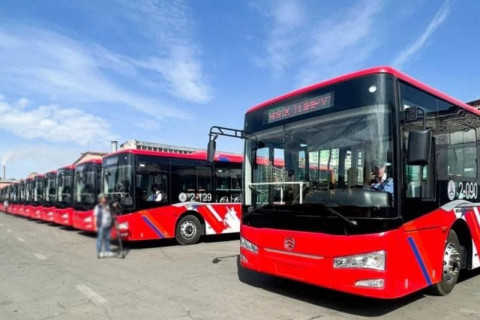 Монголд орж ирэх автобуснууд
